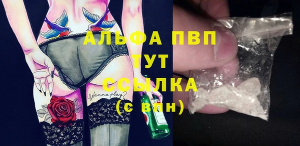 ECSTASY Вязьма